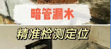 珠海行业动态