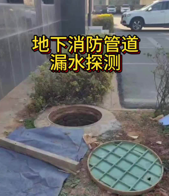 上门查漏水 vs 自行检测：2026年成本与效果对比分析
